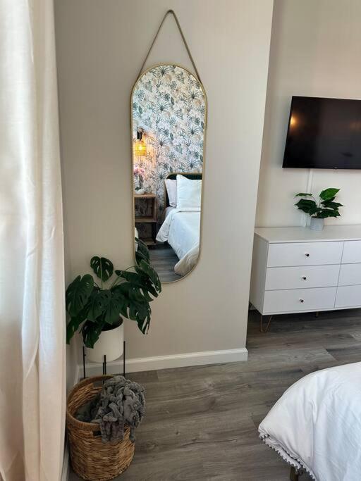 Home Haven, Walk To Little Italy & Wooster Square نيو هافن المظهر الخارجي الصورة