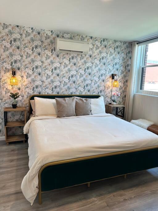 Home Haven, Walk To Little Italy & Wooster Square نيو هافن المظهر الخارجي الصورة