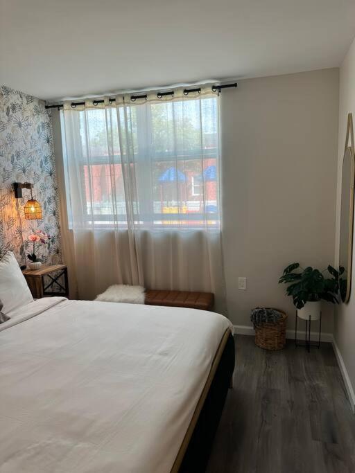 Home Haven, Walk To Little Italy & Wooster Square نيو هافن المظهر الخارجي الصورة